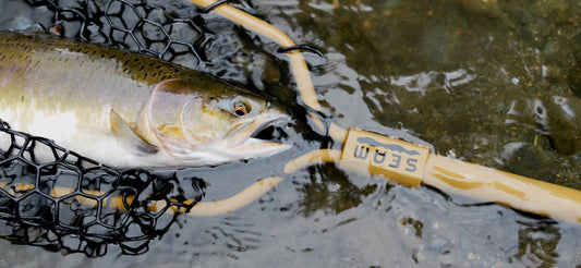 Why Use a Rubber… Landing Net Basket